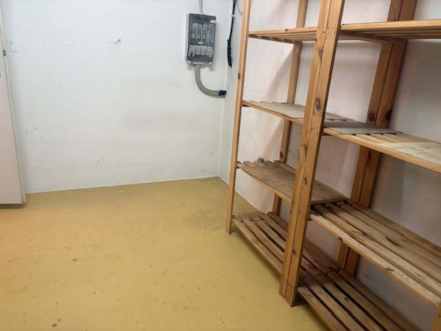 Anatomisches Herzmodell zerlegbar Lehrmodell Medizin hammer