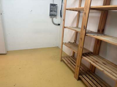 Anatomisches Herzmodell zerlegbar Lehrmodell Medizin hammer