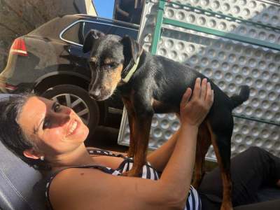 Spieluhr Weihnachten mit Schublade Santa beweglich Musik